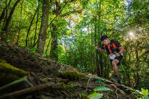 BIB: 3547
                            <button type="button" onclick="openModal(16015475)" class="btn btn-primary btn-sm float-right btn-popup" data-toggle="modal" data-target=".modal-high-quality">
                        <i class="fas fa-shopping-cart"></i> Add to Cart
                    </button>
                                            <button type="button" onclick="isThisMe(16015475, true)" class="btn btn-success btn-sm float-right btn-popup btn-isme hidden" data-toggle="tooltip" data-placement="bottom" title="นี่คือรูปของคุณใช่ไหม คลิกที่นี่เพื่อเอาเข้าอัลบั้ม">
                        <i class="fas fa-plus"></i> Add to album
                    </button>
                    <button type="button" onclick="isThisMe(16015475, false)" class="btn btn-warning btn-sm float-right btn-popup btn-isnotme hidden">
                        <i class="fas fa-ban"></i> Remove from album
                    </button>